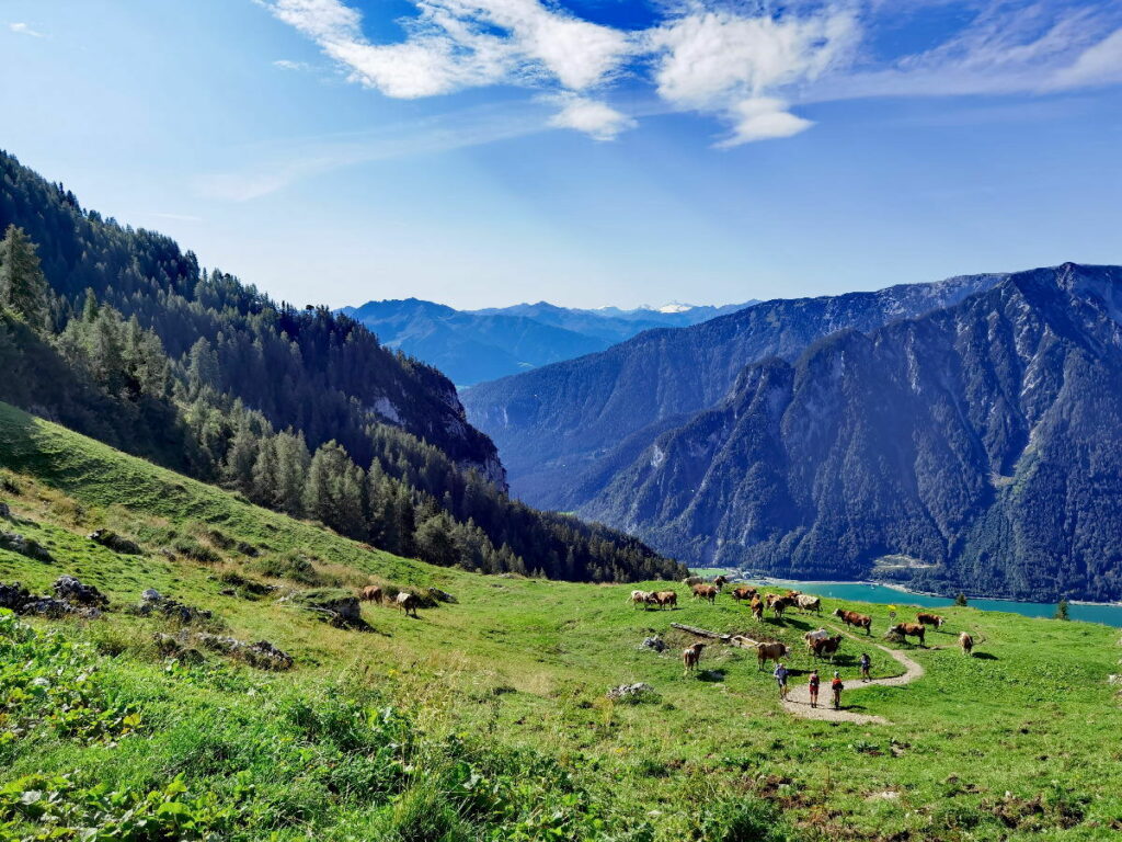 Dalfazalm Wanderung  am Achensee