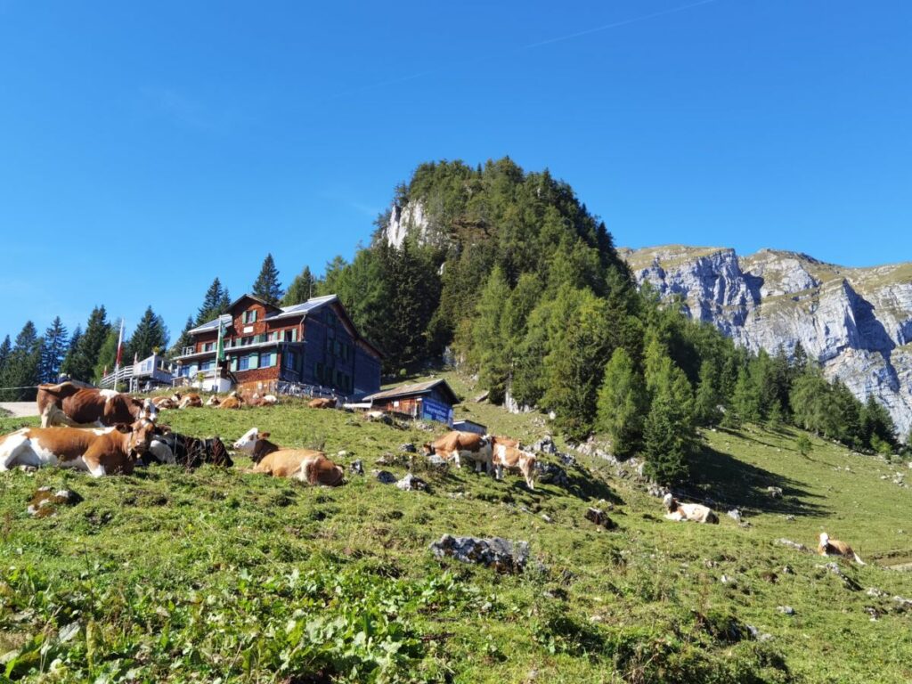 Von Münster über die Bayreuther Hütte zum Zireiner See wandern