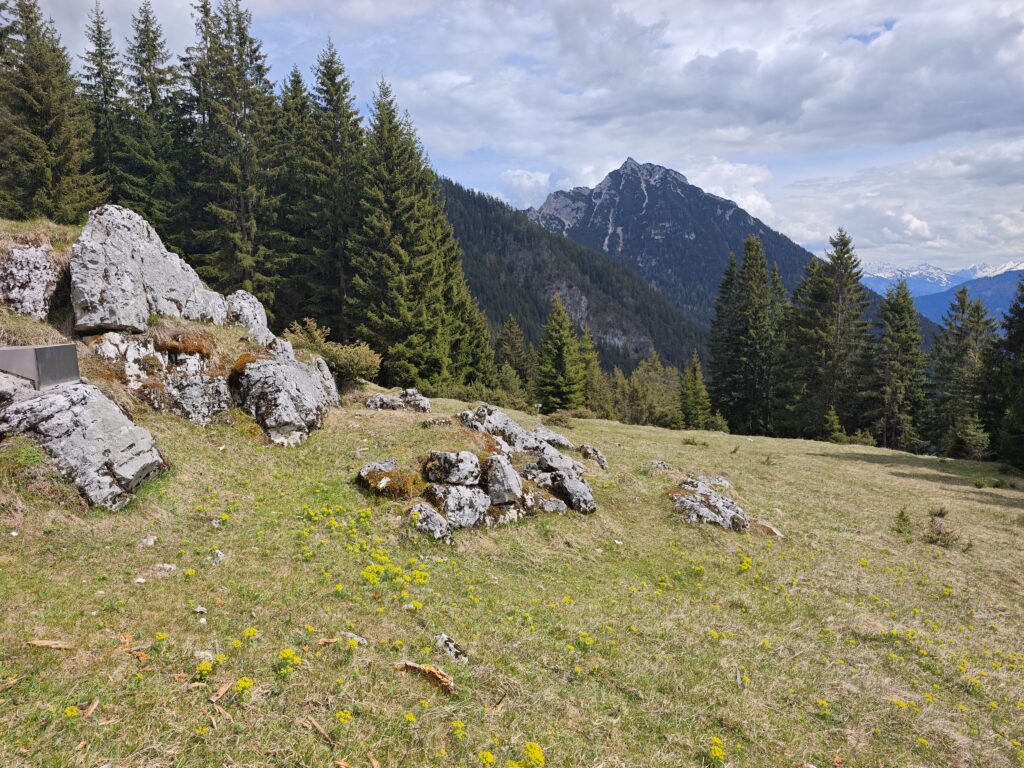 Blick von der Durra Alm zum Ebner Joch