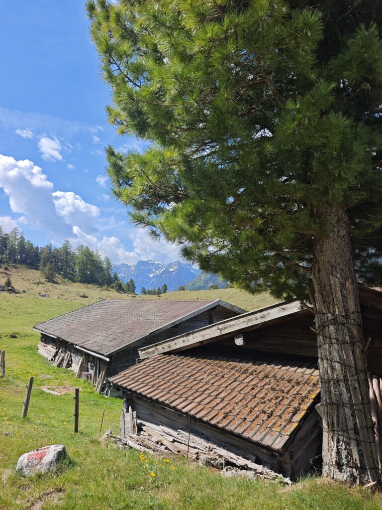 Kotalm