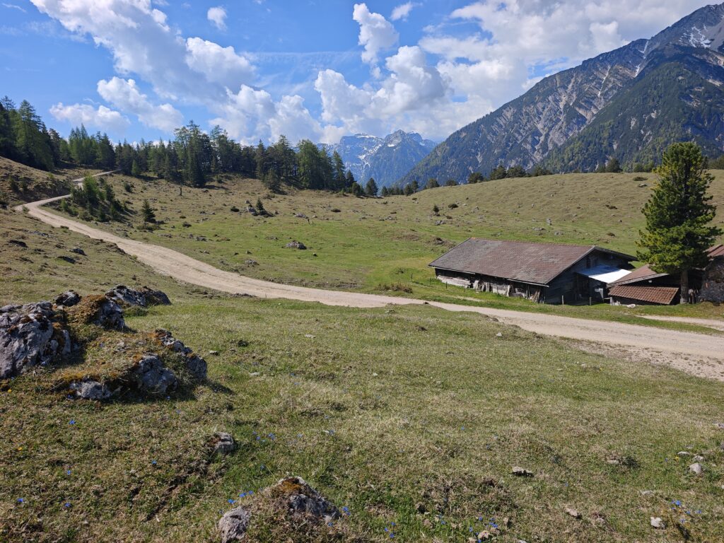 Kotalm Niederleger - mit Blick auf das Karwendel